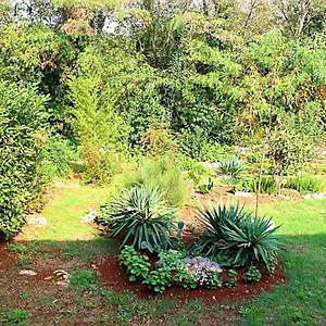 Jelena Apartment